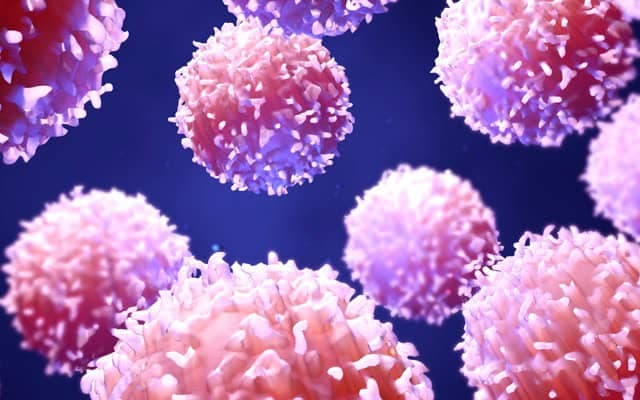 PharmaDrug completes key milestone to support cGMP production of lead candidate PD-001